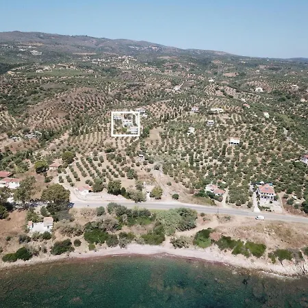 Apartment Xenios Zeus 2